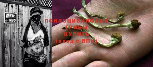 таблы Богородск