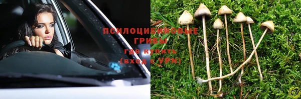 jwh Богданович