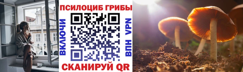это официальный сайт цена Выборг Псилоцибиновые грибы мицелий