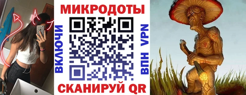 Галлюциногенные грибы Psilocybe Выборг