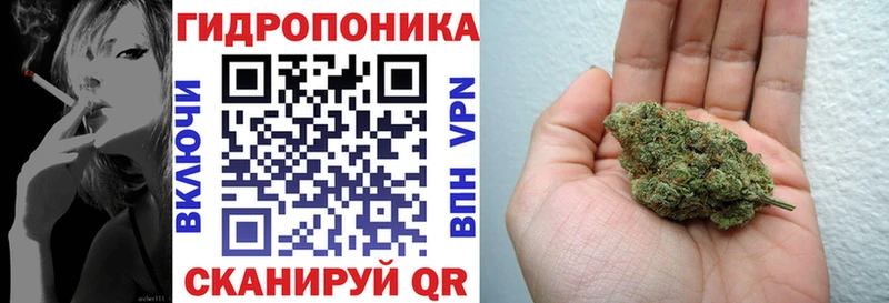 Бошки марихуана THC 21% Выборг